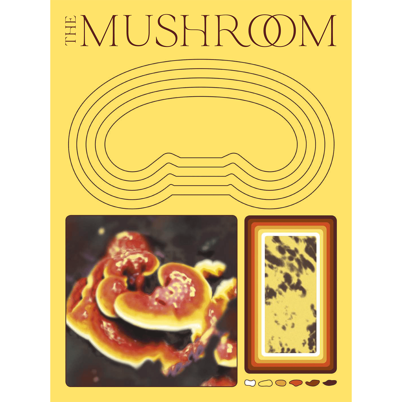 The Mushroom Magazine - Issue 1